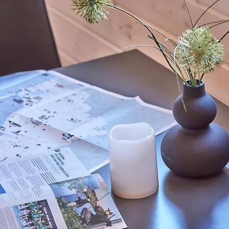 Отель Danhostel Skjern