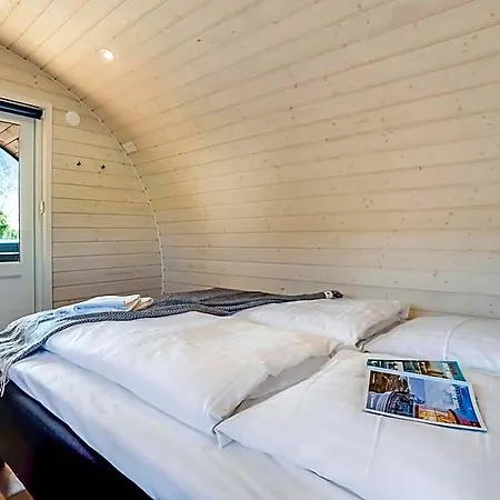 Danhostel Отель Skjern