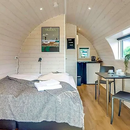 Отель Danhostel Skjern